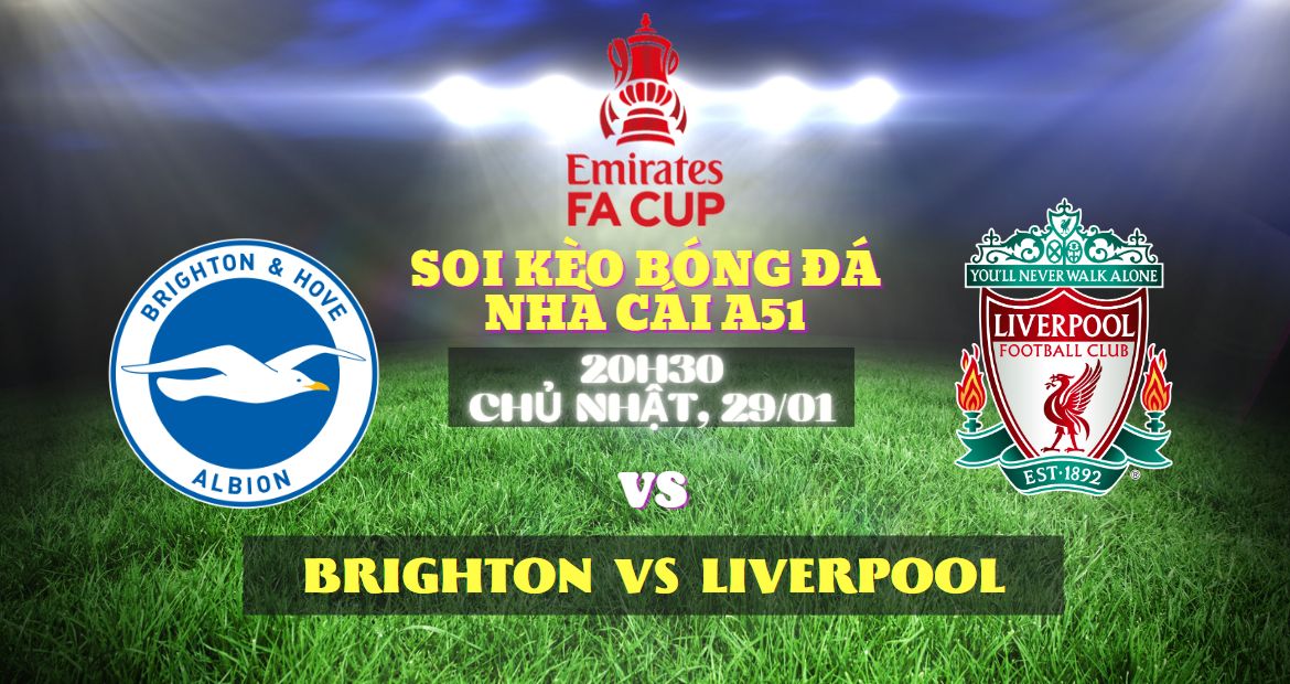 Brighton vs Liverpool FA cúp nhà cái A51